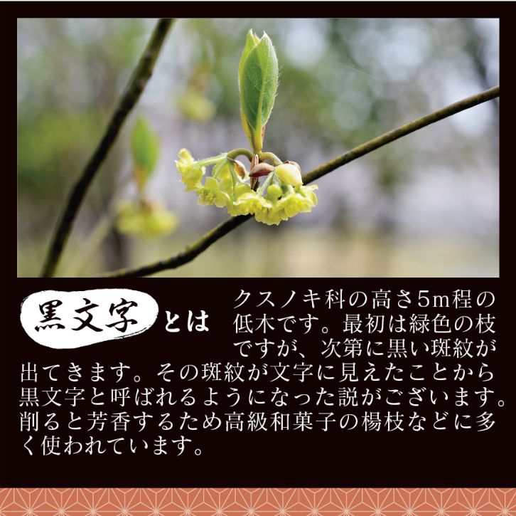 ������ʸ���̻ޡ�7.5cm�ʥ���������100��