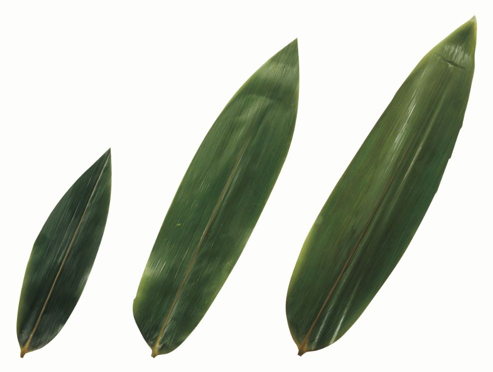 �ĺ���M)��100����