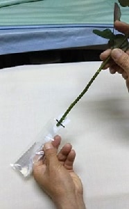使い方は簡単です！！
袋上部の逆止弁に印刷された黒い横線のところから、切り花を挿し込みます。