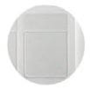 ξ̥ơסʰޤѡ֥ץ꡼Žդѡ