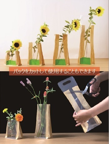 �ե��١����Хå�