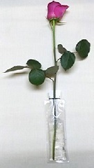 �ڤ�����ݿ奭��åס��֥ץ��������꡼��10��ס���̳�ѡ����ơ��������꡼��10g��200�ġ�