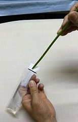 �ڤ�����ݿ奭��åס��֥ץ��������꡼��10��ס���̳�ѡ����ơ��������꡼��10g��200�ġ�