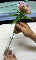 �ڤ�����ݿ奭��åס��֥ץ��������꡼��10��ס���̳�ѡ����ơ��������꡼��10g��200�ġ�