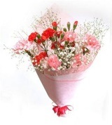 ����å��奨�����꡼���ͣӡ���Ȣ����ʣ������