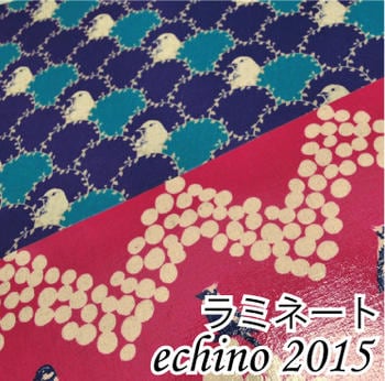 �ڥĥ䤢���ߥ͡����ǡ�10th Anniversary echino 2015 ���� �� echino ���������㥭���Х� ��ʪ �ơ��֥륯����