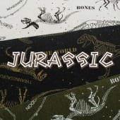 ����饷�å� ���� �� ��ʪ �� ���åȥ� ���å��� ��ε �����ʥ��� ���� �ˤλ� ���ࡦ���ء�5��