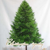 �ڥѥͥ�����ۥ��ꥹ�ޥ��ĥ꡼���ڥ��ȥ꡼ ���� �� ��ʪ �� ������ Christmas Xmas ���ꥹ�ޥ��ѥͥ� ������ ��110cm�ҡ�92cm�ڥ᡼����3�ѥͥ�ޤǡ�