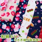 ɥӡ ؤȼƸĻ       ̣  ղ  ʿ6