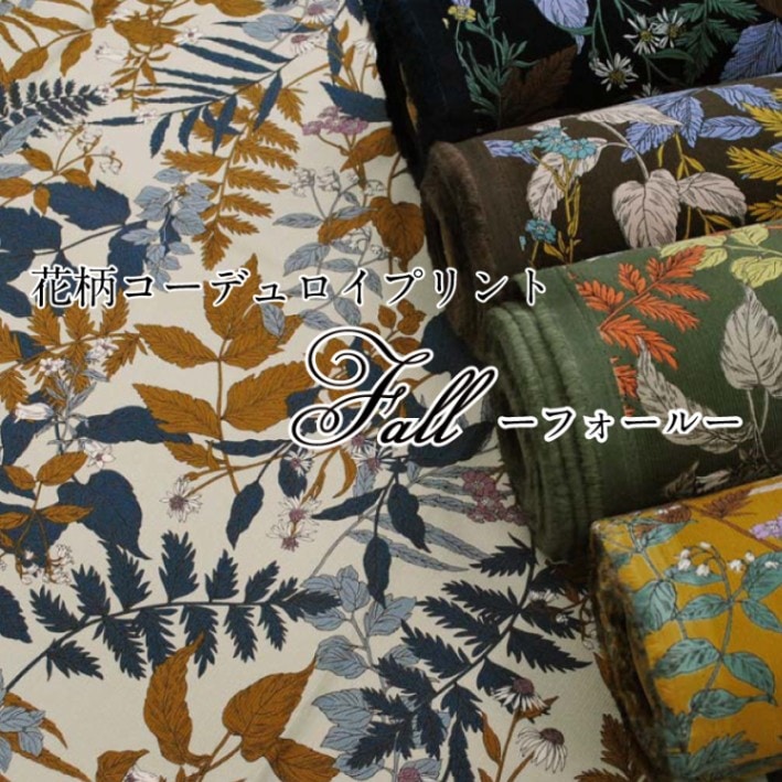 �ڲ��������ǥ�����ץ��ȡ�fall���ե����롼 ���� �� ���åȥ� ������ŷ ����ĥ����� �٥����� �ե� �ץ��� ���� �� ��5��