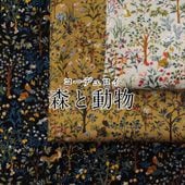 ڥǥۿưʪ   åȥ ŷ ĥ ٥    5