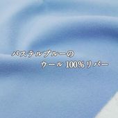 ѥƥ֥롼Υ100С      ̵  29