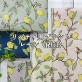 Хƥץ 6951   ֥ åȥ󤳤Ф䤷  ե ʪ 9