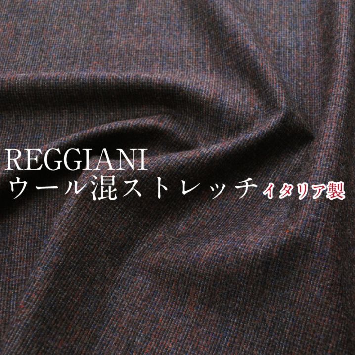 REGGIANI 뺮ȥå   å å㡼 ꥢ 󥦡    29ۡ3