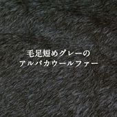 ��­û�ᥰ�졼�Υ���ѥ�������ե��� ���� �� ̵�� ���� ���������󥦡����29��