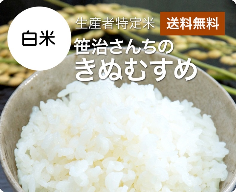 令和5年産 笹治さんちのきぬむすめ　白米20kg