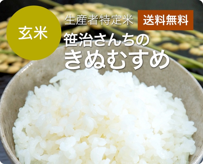 令和5年産 笹治さんちのきぬむすめ　玄米5kg