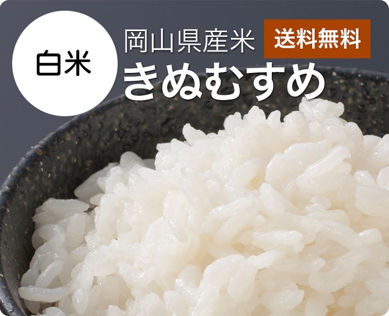 岡山県産きぬむすめ白米20kg(令和3年産)　米/穀物