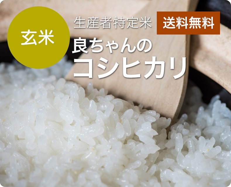 令和6年産 良ちゃんのコシヒカリ　玄米5kg