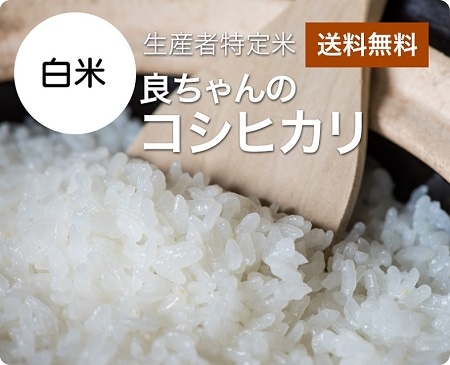 令和6年産 良ちゃんのコシヒカリ　白米5kg