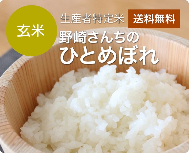 令和7年産 野崎さんちのひとめぼれ　玄米20kg
