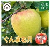 まりんこさん専用 ぐんま名月〔家庭用〕 | すべての商品 | 信州〈長野〉より産直通販