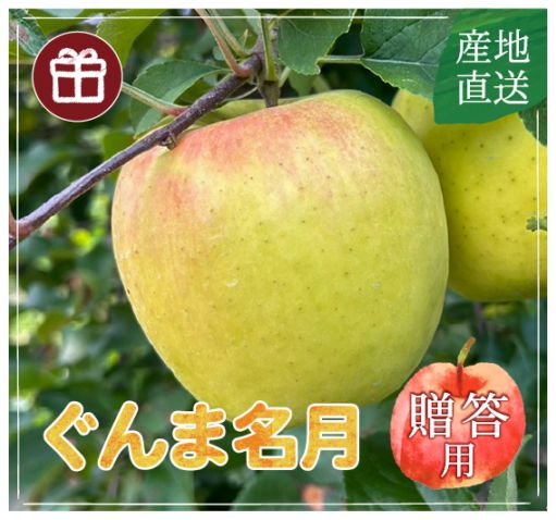 ぐんま名月〔贈答用〕