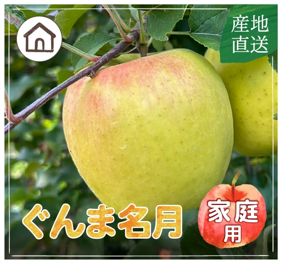 りんりん様まとめ買い専用ページ 11点 ぐんま名月〔家庭用〕 | すべての商品 | 信州〈長野〉より産直通販