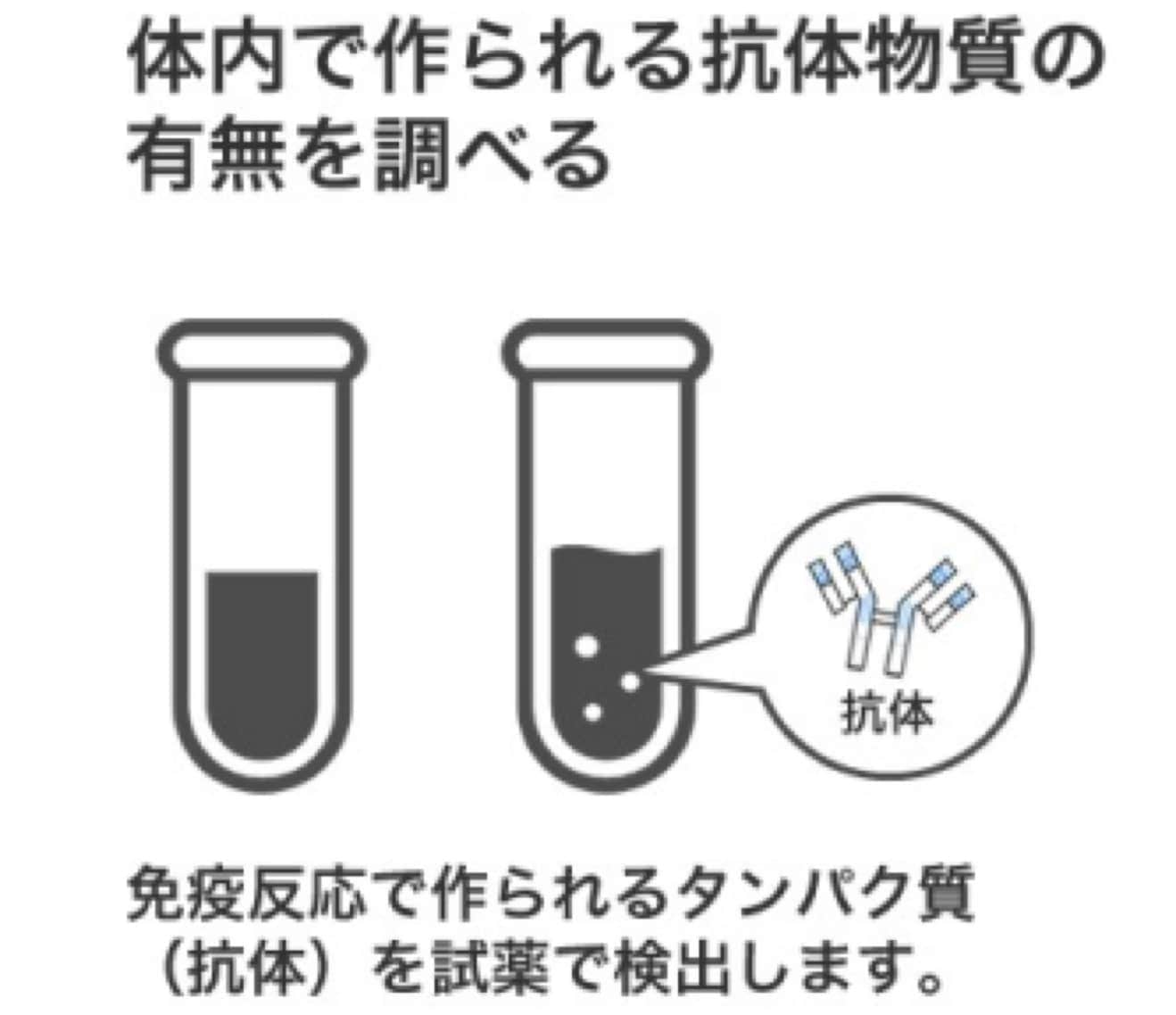 【1キット】新型コロナ抗体検査キット「BA.5」対応（採血針つき）※平日12時までの決済完了で即日出荷