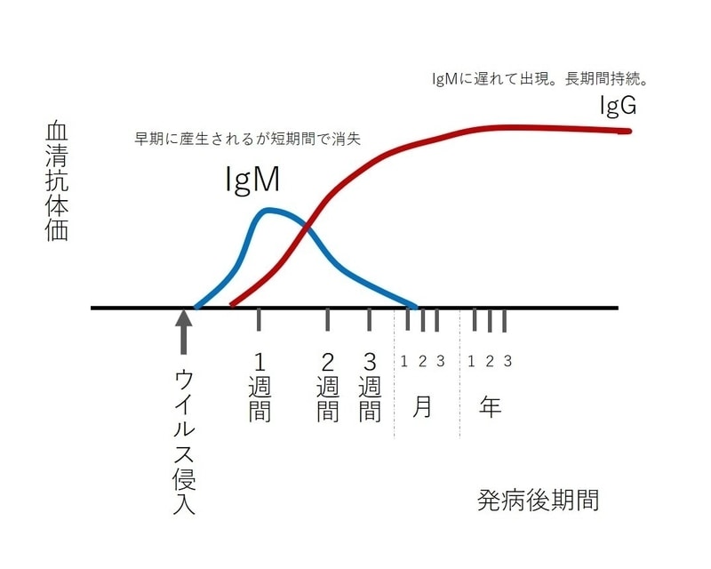 【1キット】新型コロナ抗体検査キット「BA.5」対応（採血針つき）※平日12時までの決済完了で即日出荷