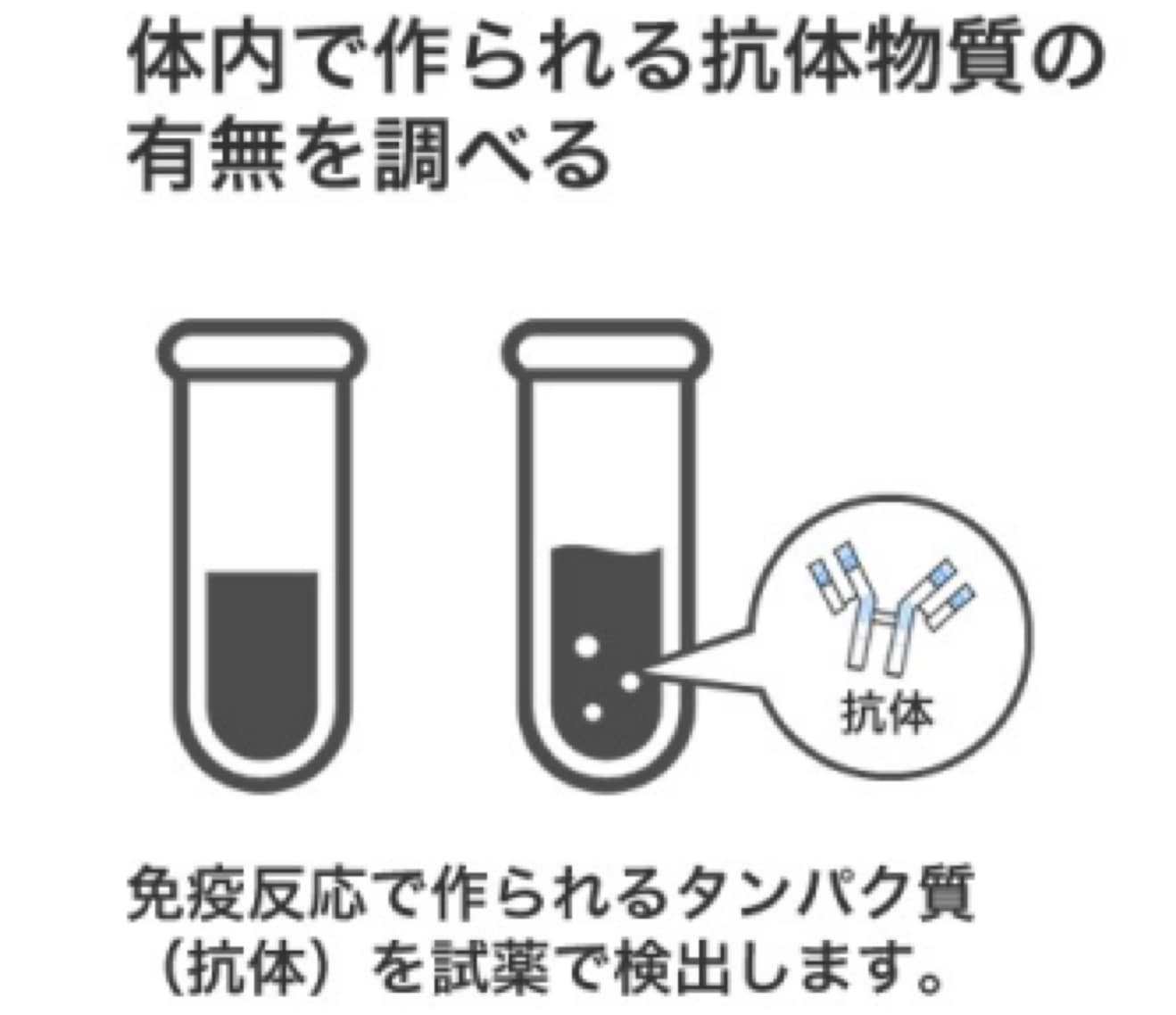 【50キット】新型コロナ抗体検査キット「BA.5」対応（1キットあたり1,190円）採血針つき※平日12時までの決済で即日出荷