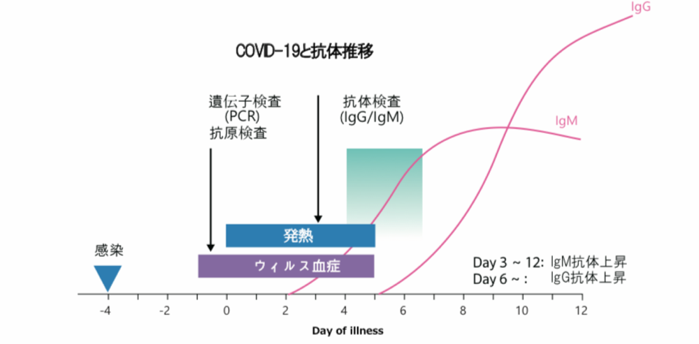 【50キット】「鼻咽頭ぬぐい液」対応型コロナ抗原検査キット「BA.2.75ケンタウロス」対応(1キットあたり1,280円※平日12時までの決済完了で即日出荷