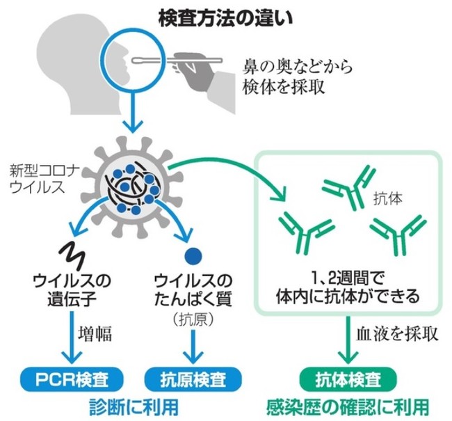 【期間限定】新型コロナ抗原検査キット1個×抗体検査キット1個のお得セット☆変異ウイルス対応 ※平日12時までの決済完了で即日出荷