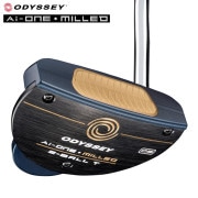 ¨Ǽۿ̸ ǥå 2024 Ai-ONE ߥ 2-BALL T DB ѥ STROKE LAB 90 ե  ɲåǥ