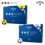 ڿ̸2025   ERC SOFT TRUVIS եܡ 1(12) 