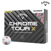 ò/¨Ǽۿ̸ 2025   ĥ X USA ȥ롼ȥå եܡ 1(12) 