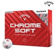 ò/¨Ǽۿ̸ 2025   ॽե USA ȥ롼ȥå եܡ 1(12) 