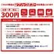 PING 2025 �ԥ󥴥�� �͡��ॿ�� AC-L2506 ̾�� �����ѥ󥴡���� 38629 ���������� pnap�ڥ���å��ݥ����б���