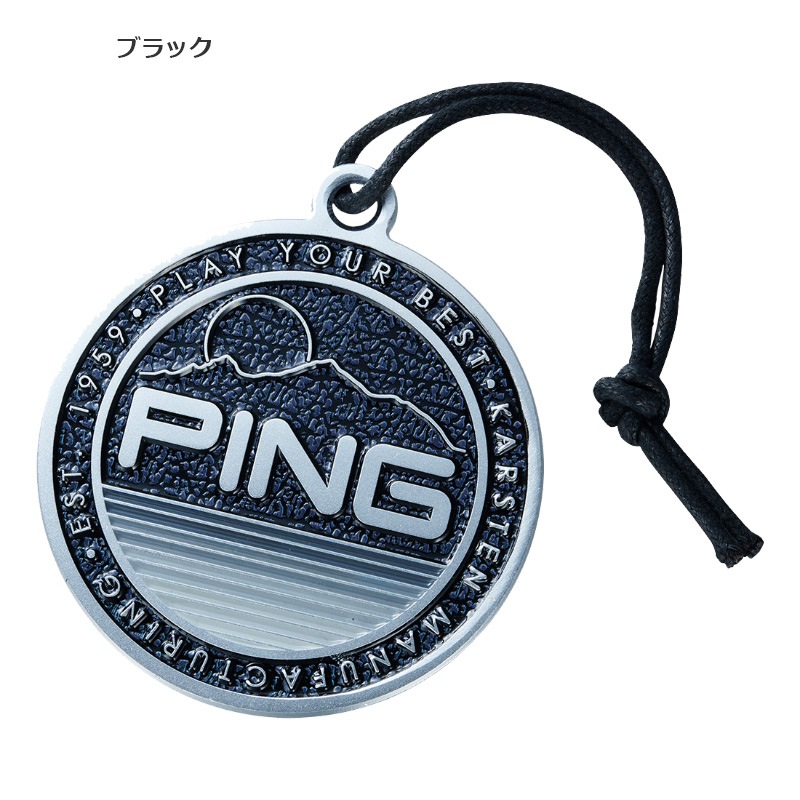 PING 2025 �ԥ󥴥�� �᥿��͡���ץ졼�� ̾�� AC-N2502 38615 ���������� pnap