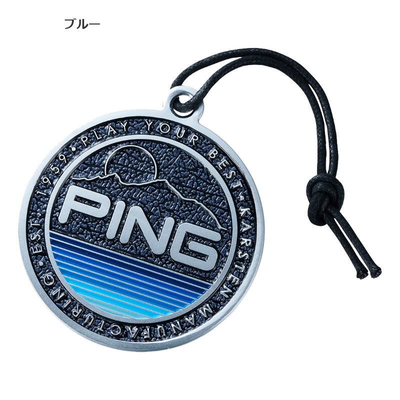 PING 2025 �ԥ󥴥�� �᥿��͡���ץ졼�� ̾�� AC-N2502 38615 ���������� pnap