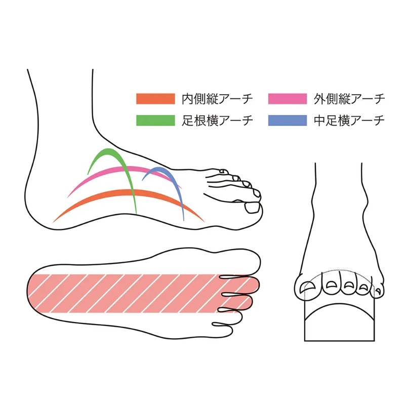 ɥ AQ ߥ(2/1å) ȥå  Ƨ 䥷ƥ ADM-PL 