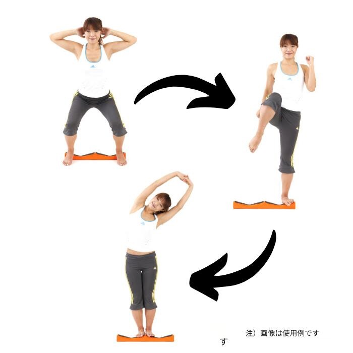 ����åȥԥåȥߥ� ��Ⱦ�� ���ȥ�å���� ������������ �ڥȥ� ���祳�֥饦�� �������䥷���ƥ� KKPM-CB ����������