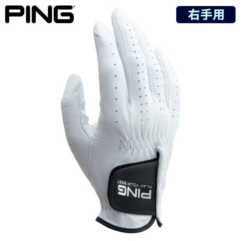 �ڱ����ѡ�2023 PING �ԥ󥴥�� GL-P2301 �ӳ� �������� ���������� 36897 pnap