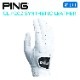 PING �ڱ����ѡۥԥ󥴥�� GL-P202 ��� ������ץ������� ����������