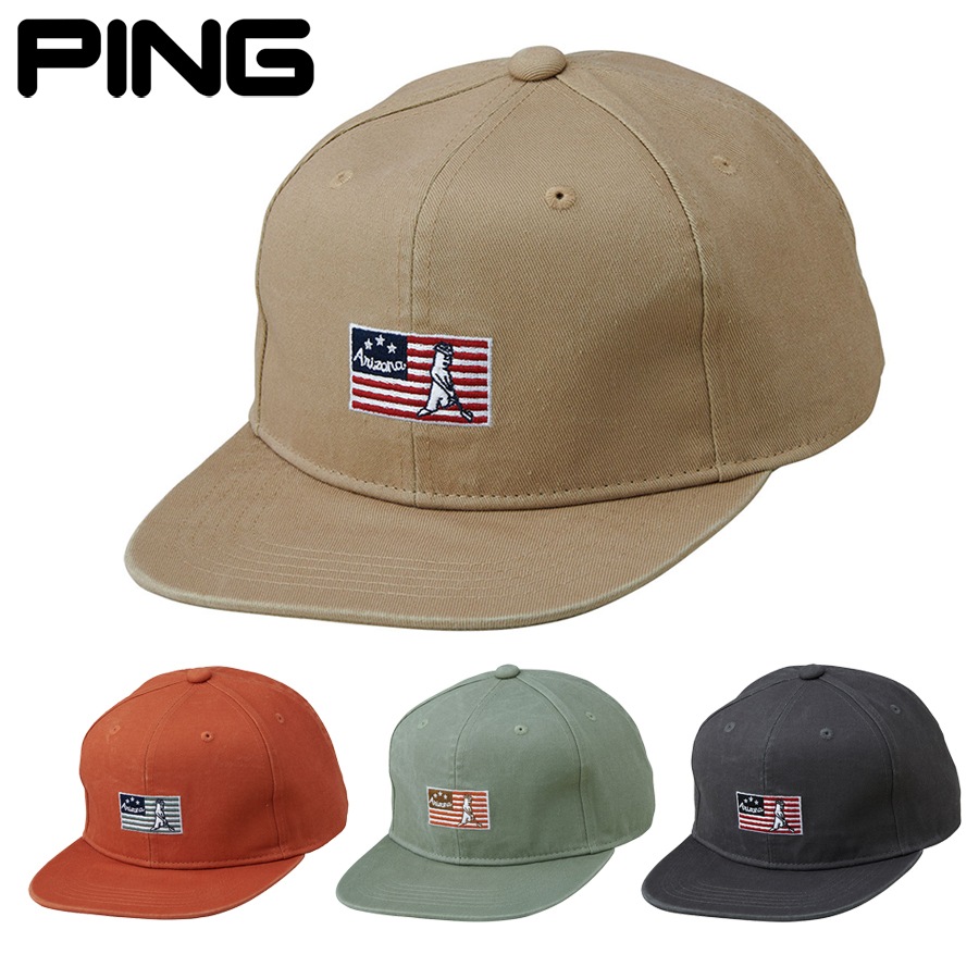 Ÿ/¨Ǽ2025 PING ԥ󥴥 HW-N2501 ͥƥ֥եåȥӥ å ˹ 38215  pnap