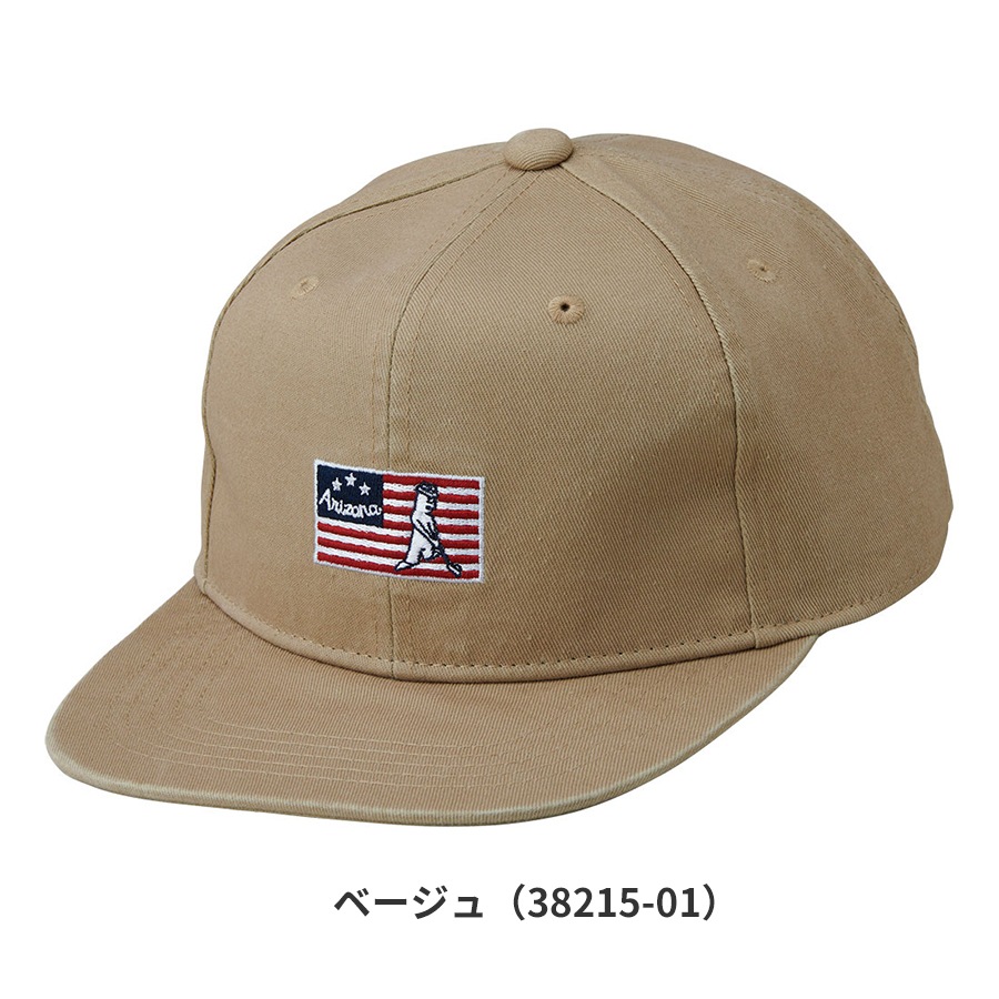 Ÿ/¨Ǽ2025 PING ԥ󥴥 HW-N2501 ͥƥ֥եåȥӥ å ˹ 38215  pnap