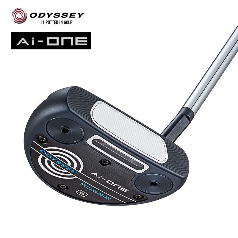 ��30��OFF��¨Ǽ�ۥ��ǥå��� 2023 Ai-ONE ����������� ROSSIE S �ѥ��� STROKE LAB SL90 ����ե� ����������