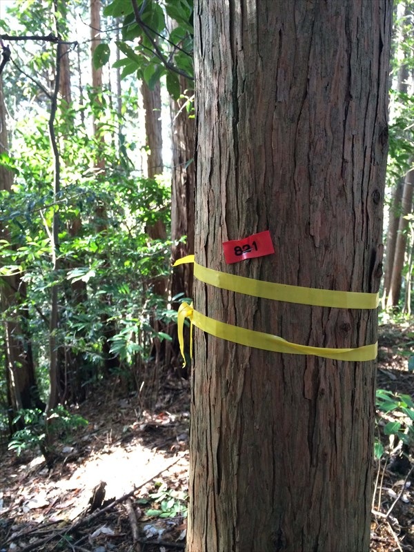 �ʥ�С��ơ��ס�����ե��٥å����ꡡ�����