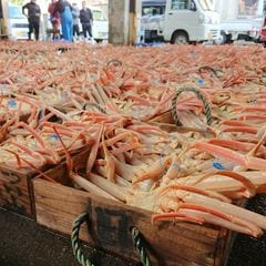 ڳ ŵﻳ Τʸ<br> ڻ·