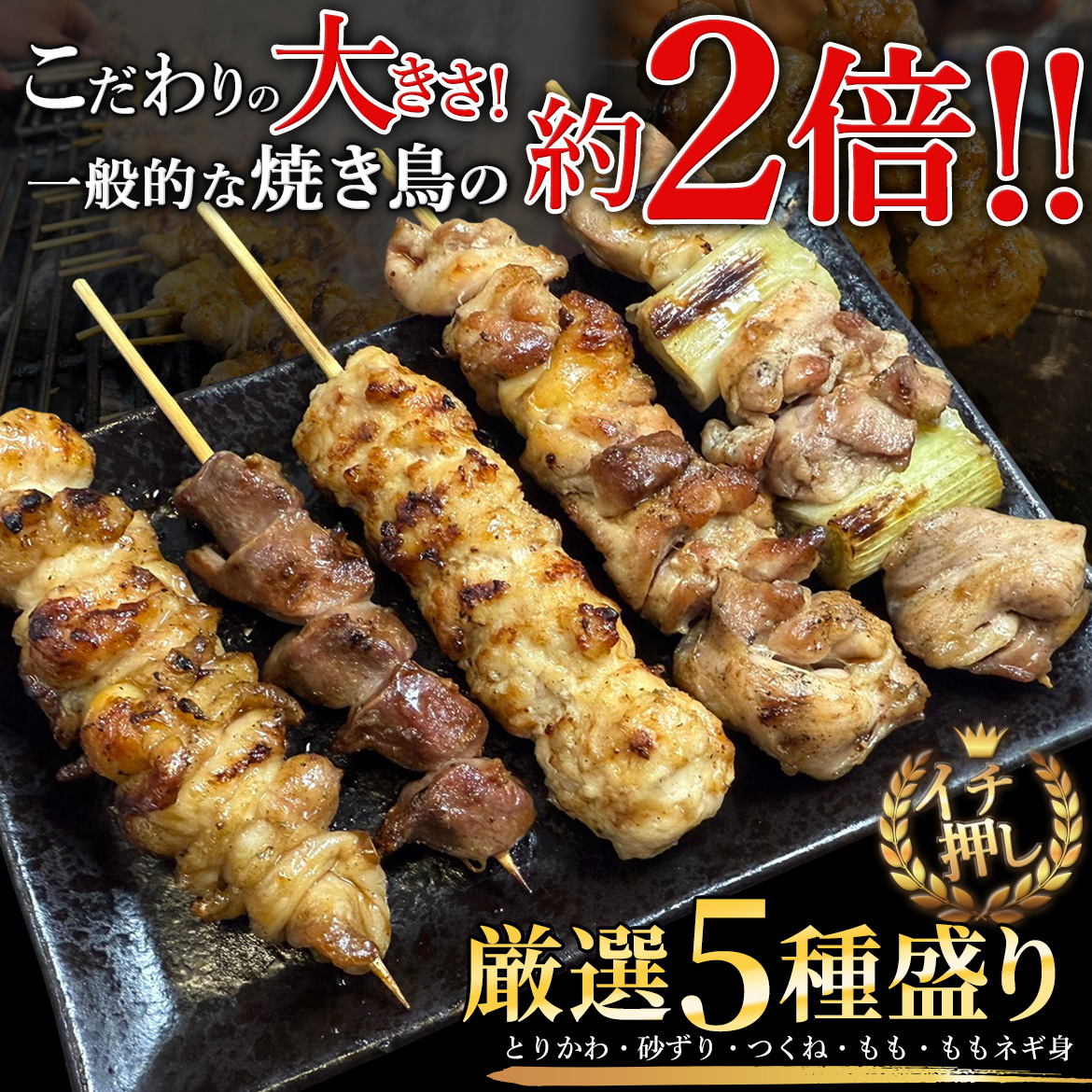 備長炭火焼鶏5種盛り（鶏皮・砂ずり・つくね・もも身・ももネギ身